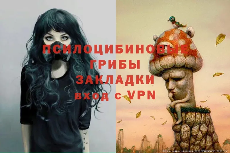 мориарти формула  Зубцов  Галлюциногенные грибы Psilocybe 